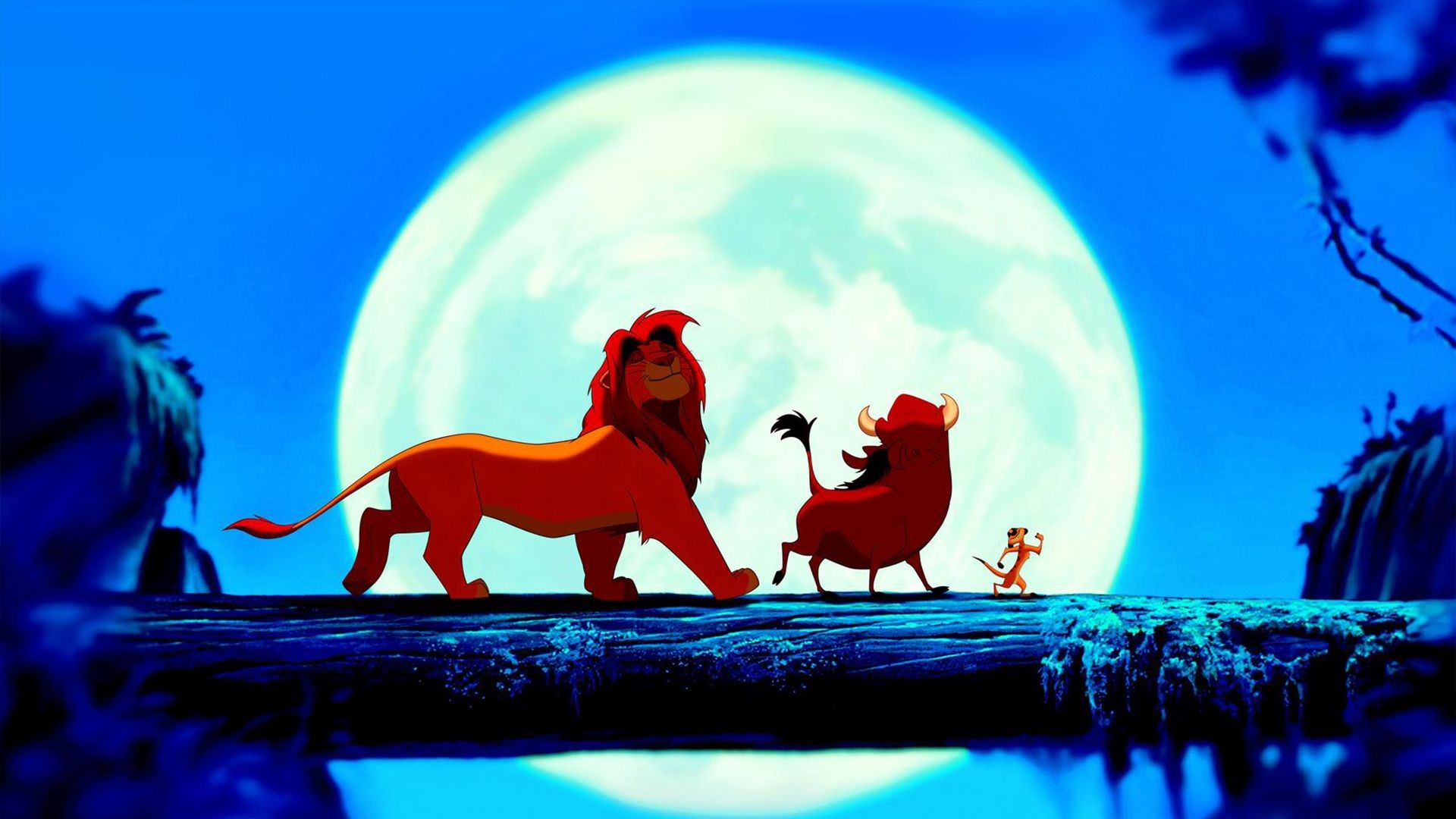 Imagine Lion King